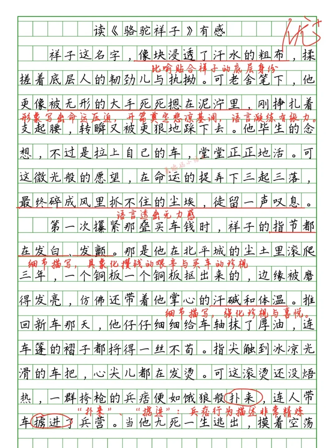 暑假作文批改：读《骆驼祥子》有感