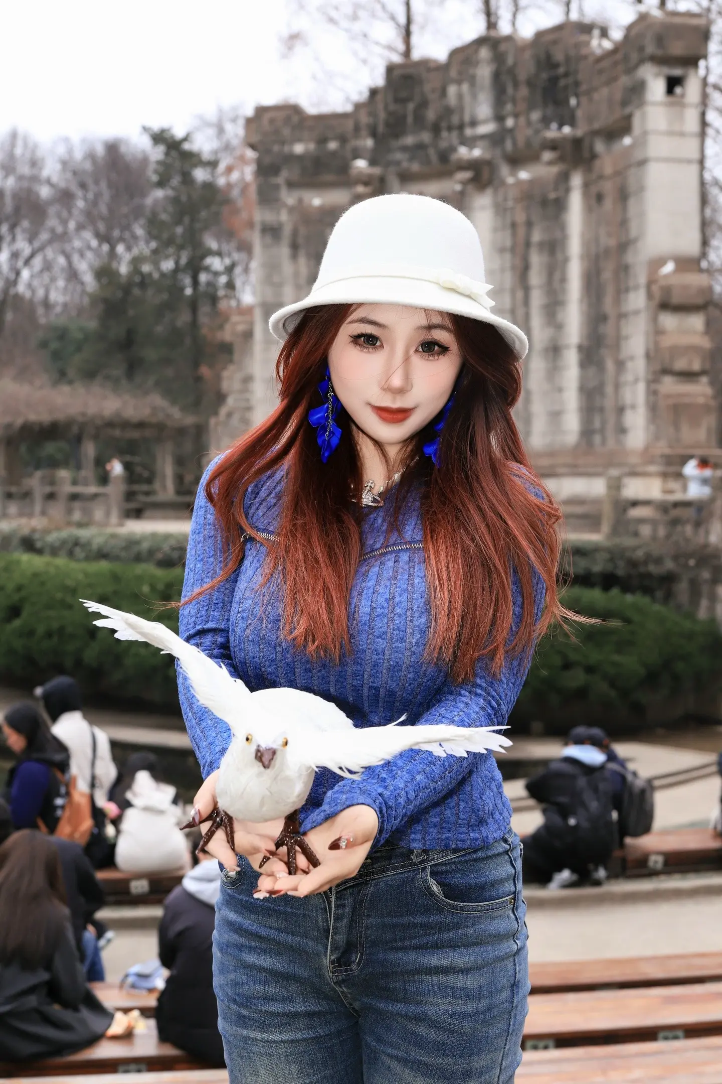 亲爱的鸽子🕊️请放心飞吧