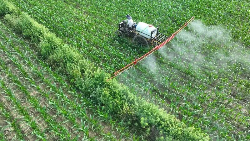 花生打叶面肥药套餐为什么能高产?花生打叶面肥套餐之所以能提高产量，主要是因为通过