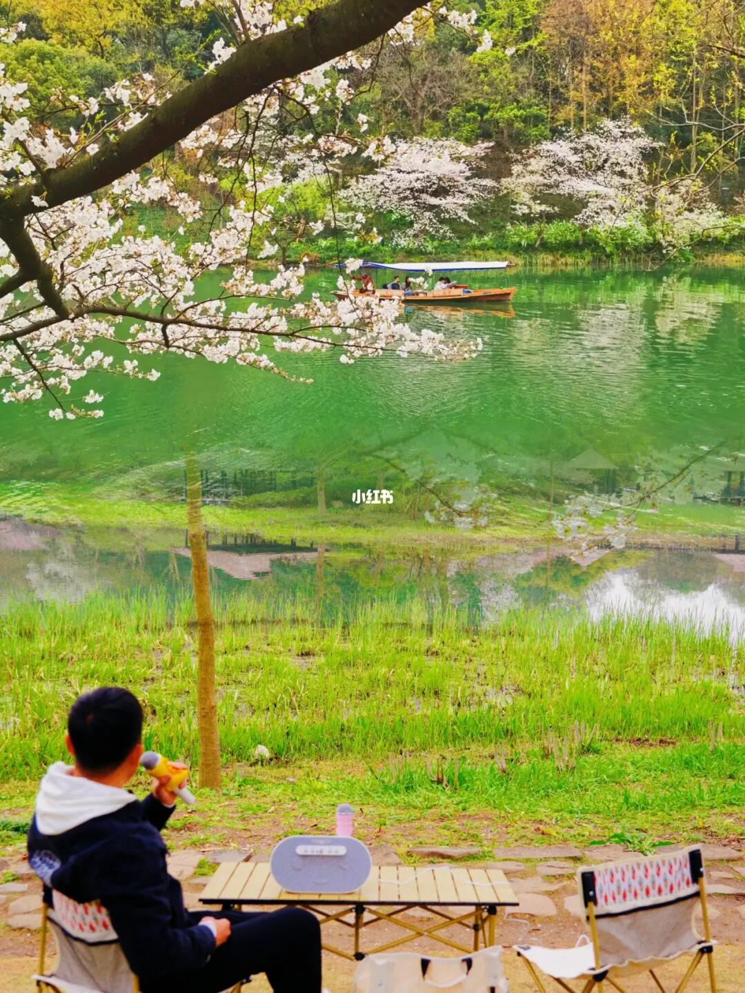 去了西湖99次，我真的很爱春天的乌龟潭