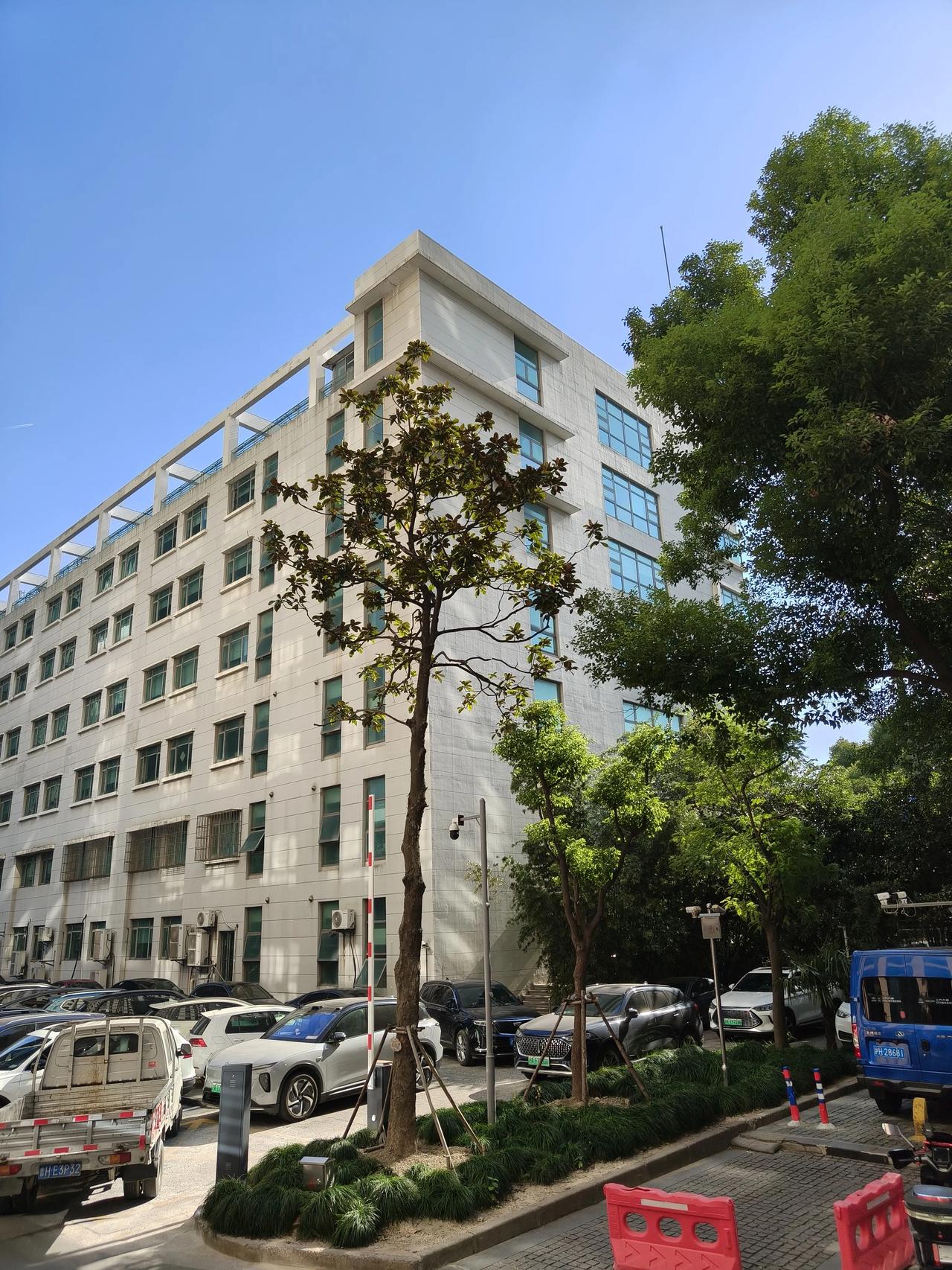 冬日午间随手拍实景图分享！

今日份天空随手拍～☁️☁️🌲🌲