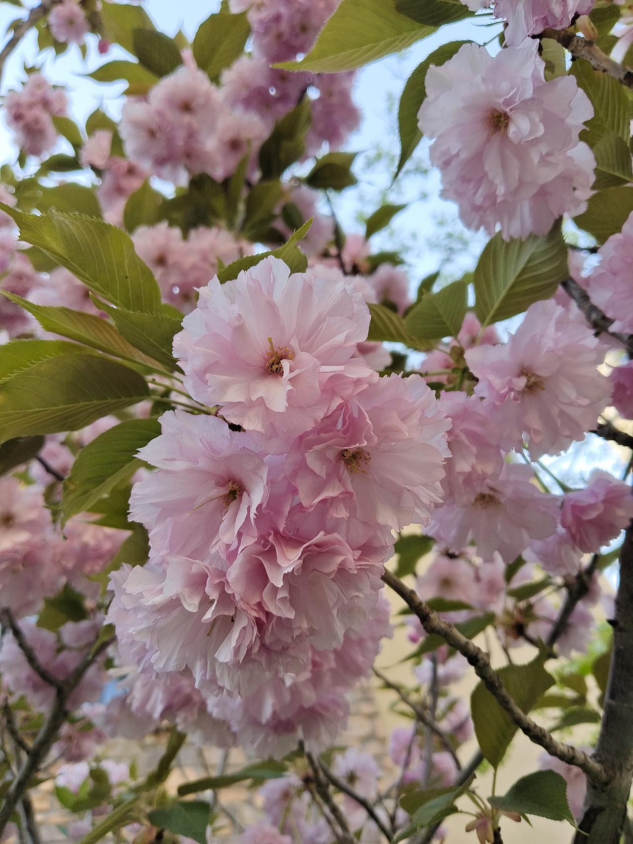 每天夜幕降临的时候，是我最放松的时候，这个时间段是属于我的自由时光。我可以做健身