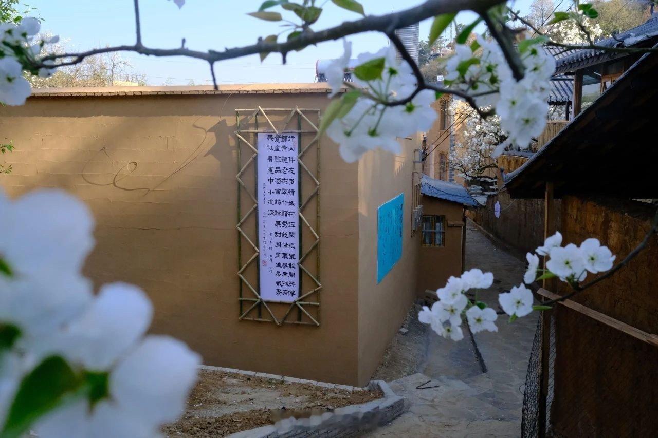 香约云南住在梨香花海里 太喜欢云南的梨花了呀，真的是能够让大家闻到了芳香扑鼻，也