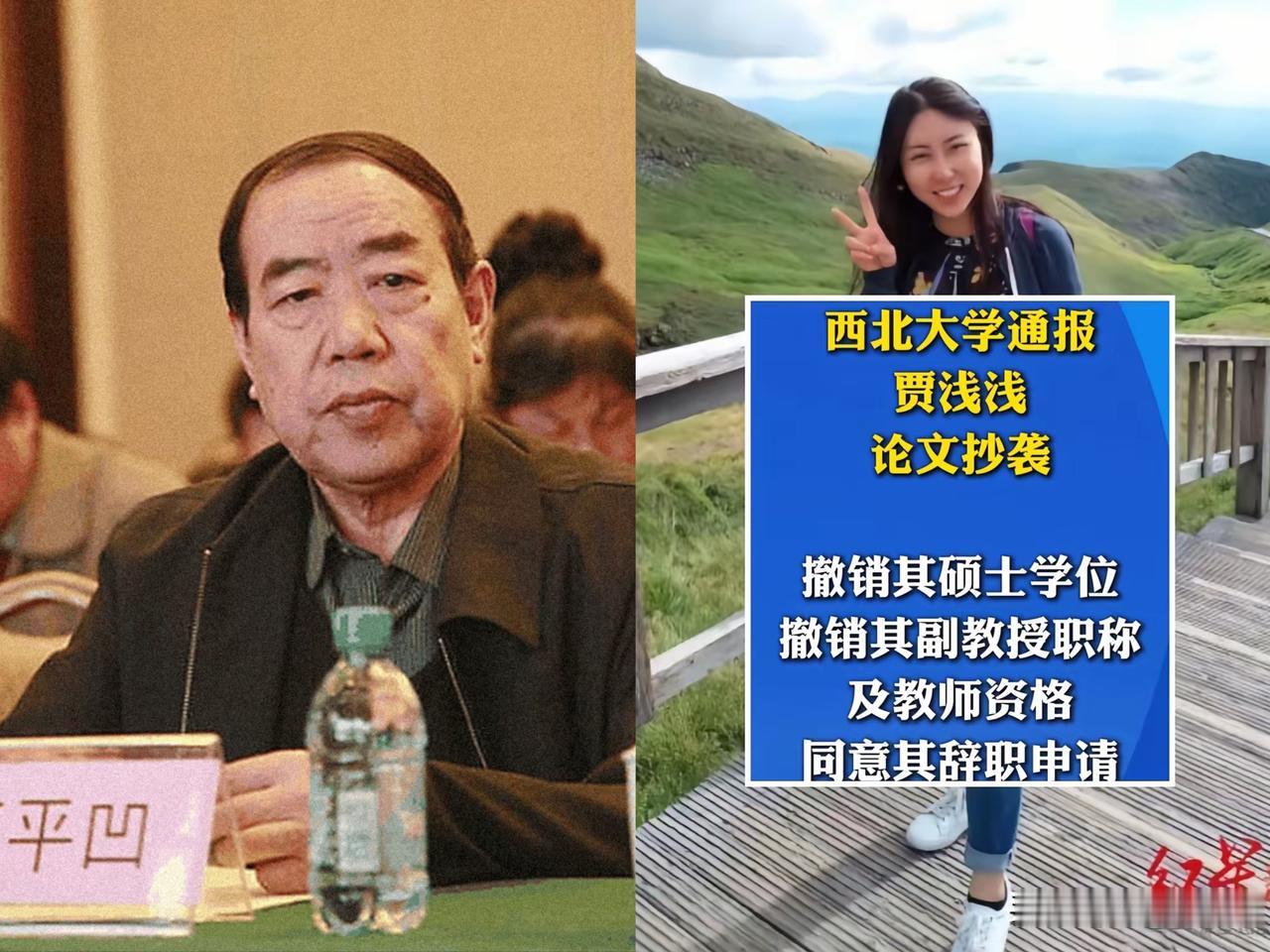 16篇论文，9篇抄的。

查重率83.96%，原创就剩一成不到。

这是贾平凹亲