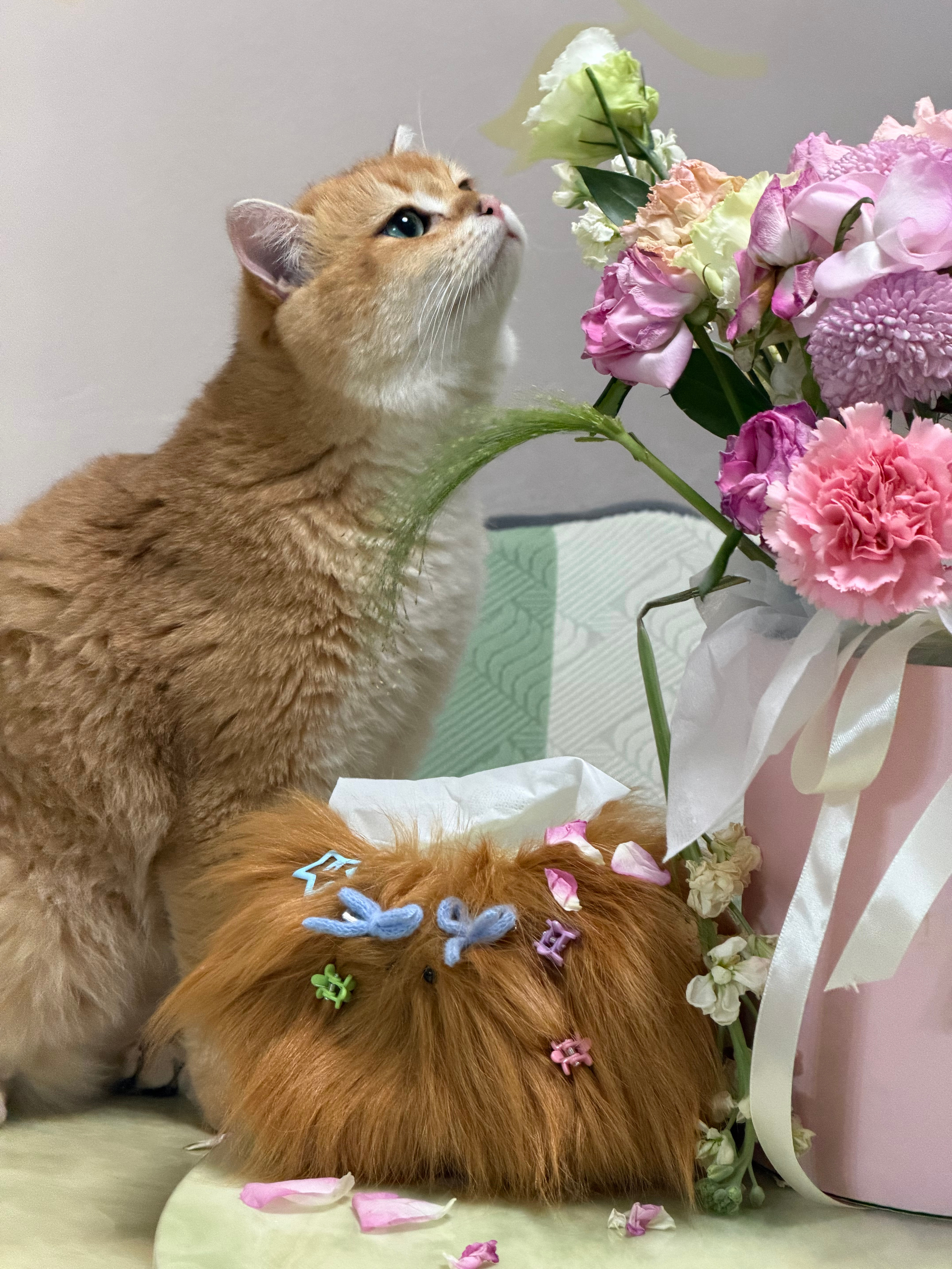 所有人！停下手里工作！快欣赏我新买的纸巾盒最近买好多可爱的东西，爱死了 