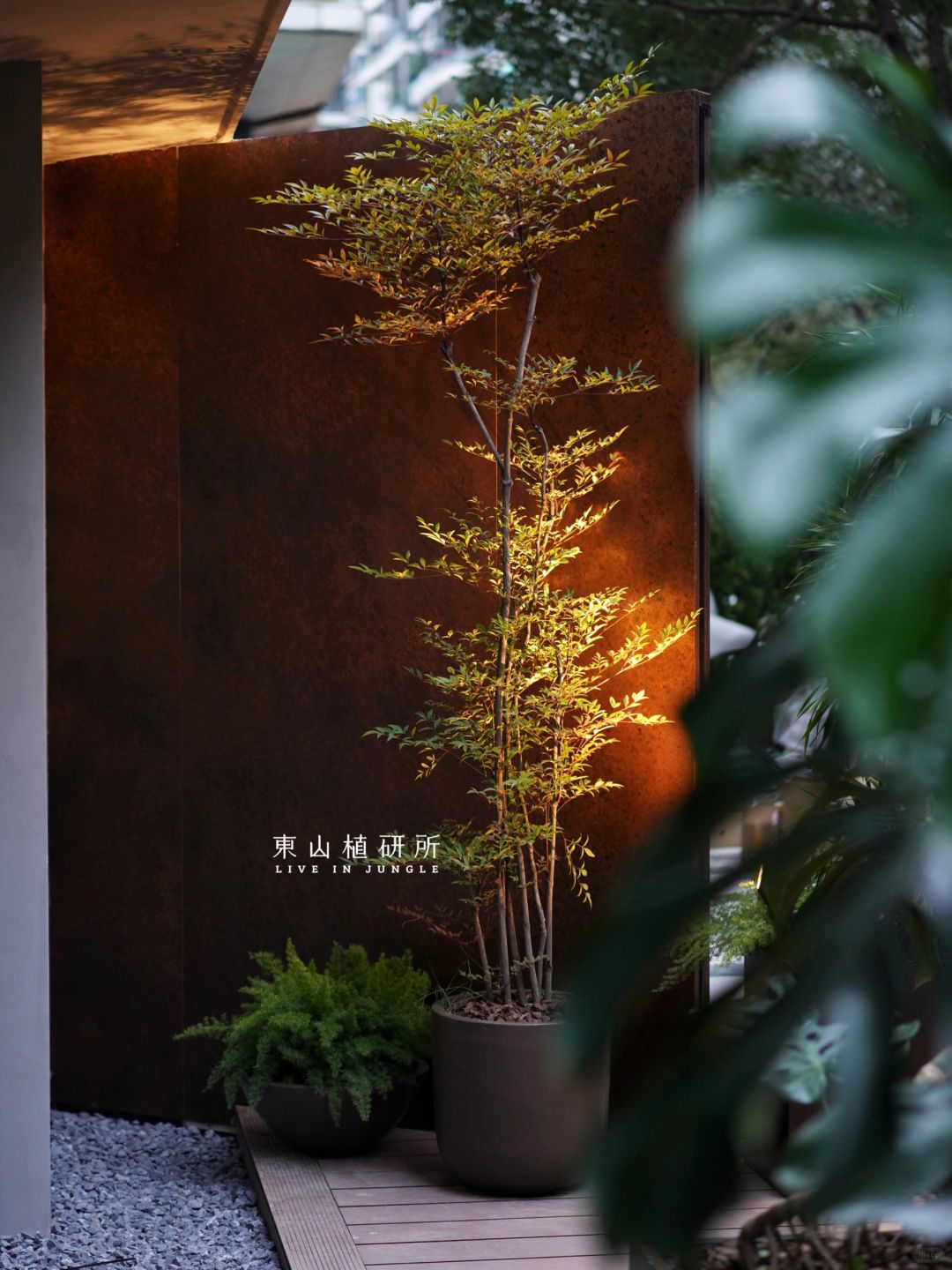 墙角绿植点睛之笔 简约风植物组合