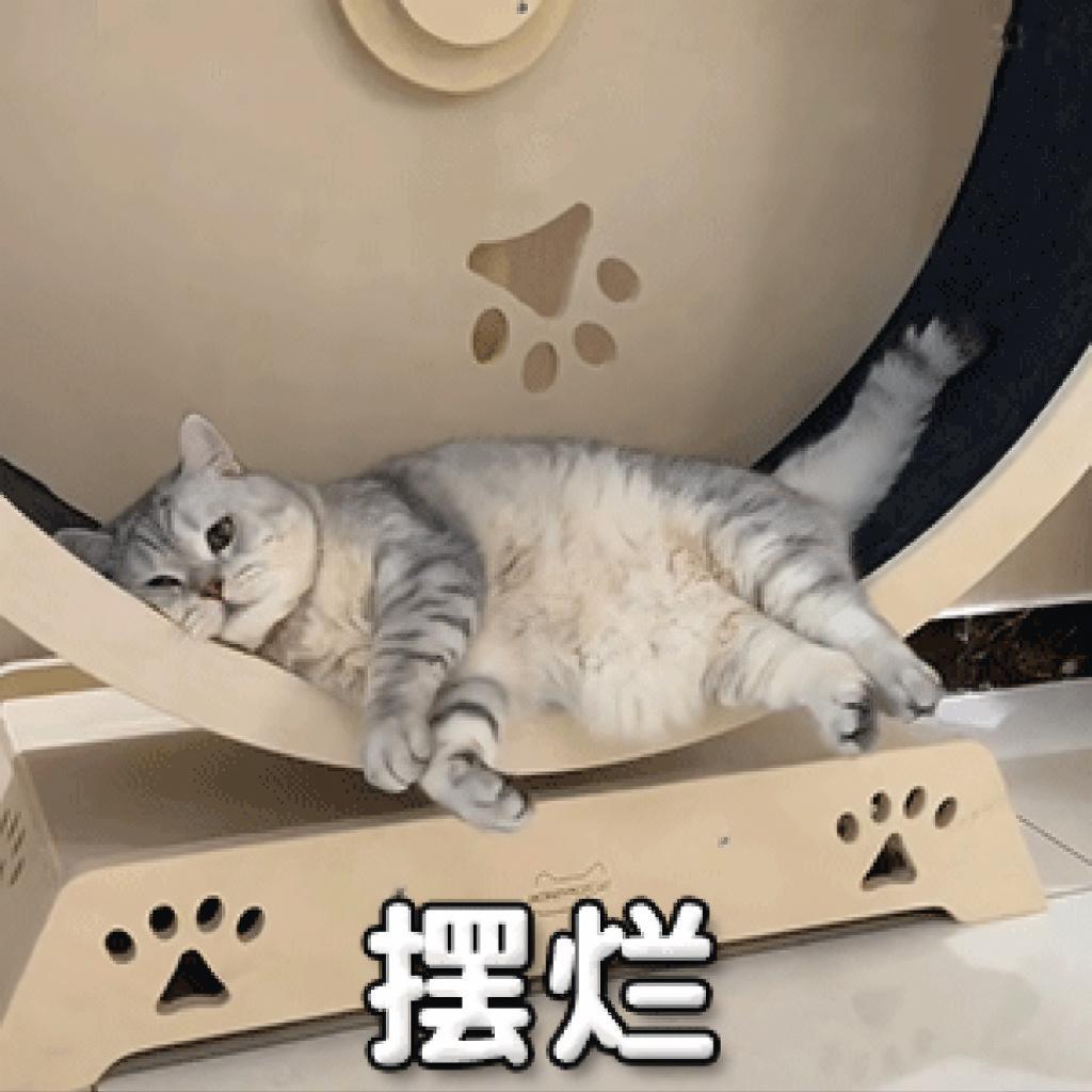 各位，我回来了！！不过今天有很多工作的东西要整理，周末才有空休息~我的天，昨天晚