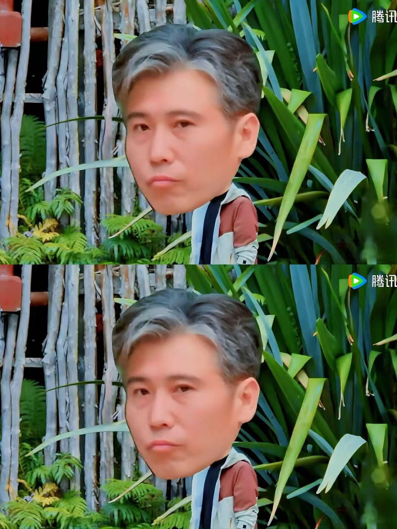 李乃文死嘴憋住别笑谁能共情李乃文的煎熬！硬生生被节目组套路，全程使劲憋笑，表情又