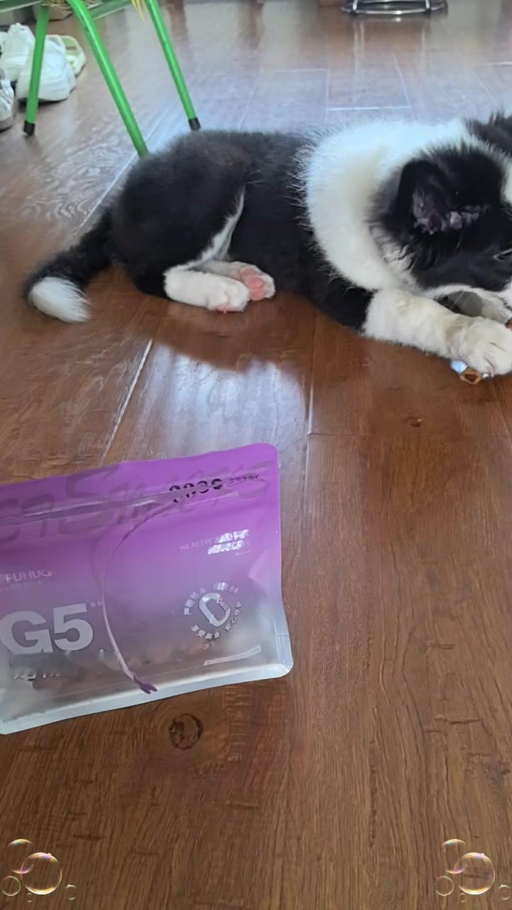 给边牧买的新零食也太香了吧！🐶刚开袋就被吸引了，鸭肉卷裹着风干牛皮的磨牙棒，看