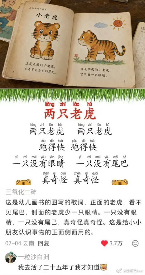两只老虎的歌词终于解密了一直以为是俩残疾虎原来是视差 