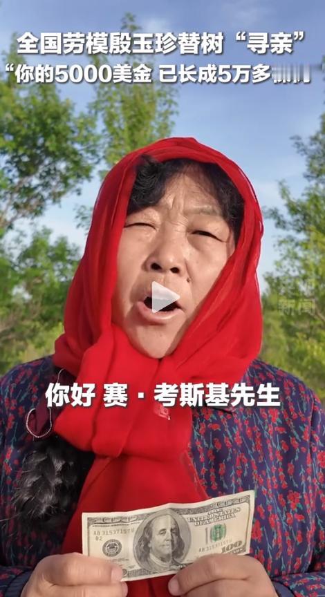 5000美元换5万棵树！内蒙古毛乌素沙地的全国劳模殷玉珍发出的寻人视频有了结果，