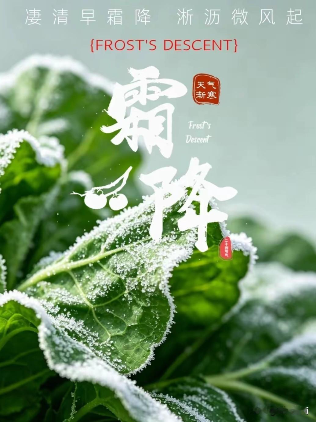 ²º²⁶/₁₀.₂₃🍂今日霜降
齐天乐·霜降
 
霜华暗染郊原色，萧萧晚林初静