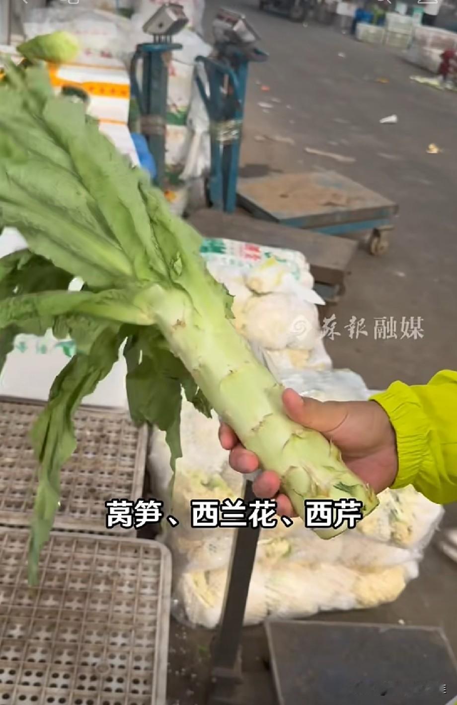 台风来袭，苏州人的菜篮子稳住了
 
苏州已经启动台风“白海豚”四级应急响应，风雨