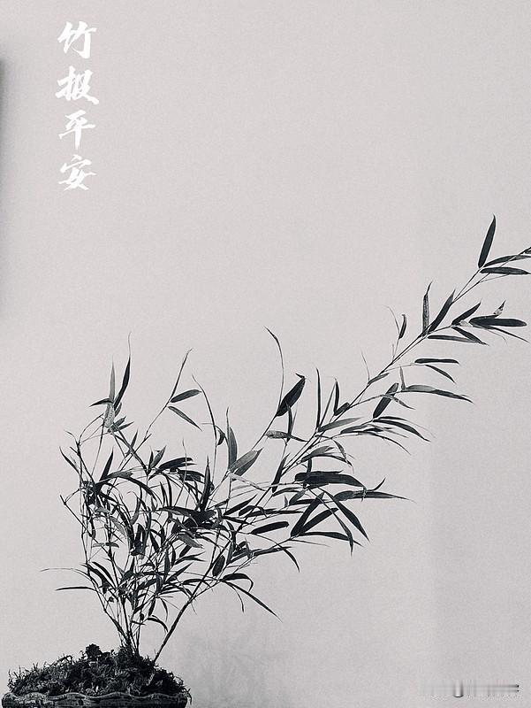 上联:雪压劲松松愈挺;
下联:风欺瘦竹竹尤坚。