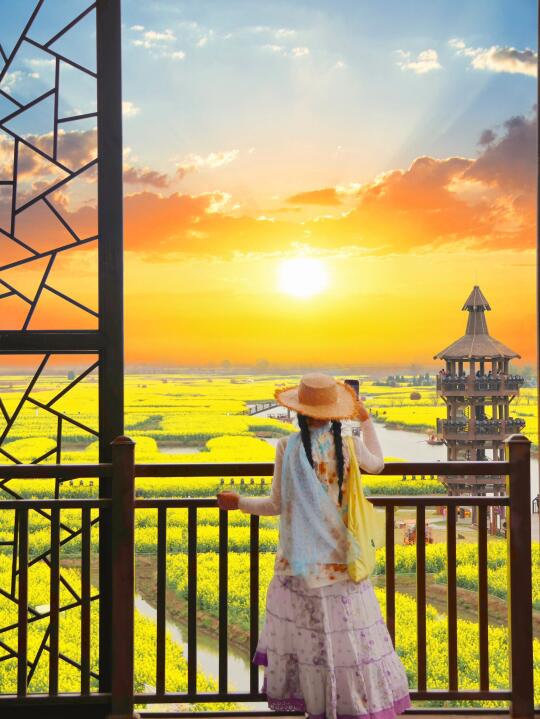 被评为全球四大花海的水上花田🌼有多绝👍