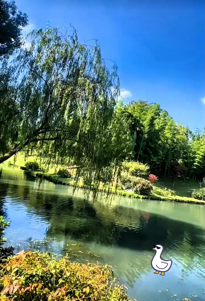 现在总感觉猝死的新闻越来越多，一方面是网络传播快，一点事大家很快就能看到；另一方