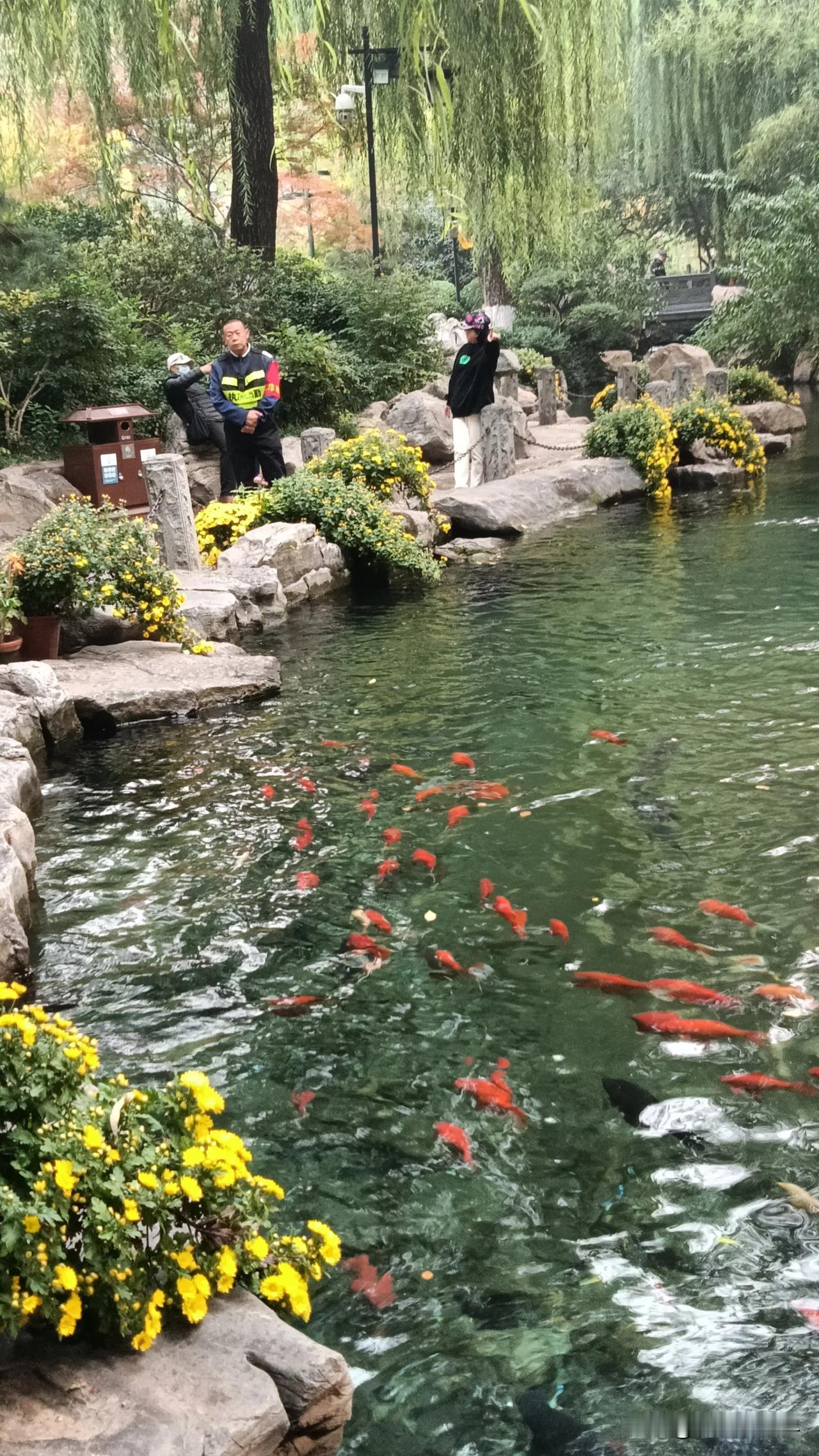 用一张照片记录生活随拍的图片分享