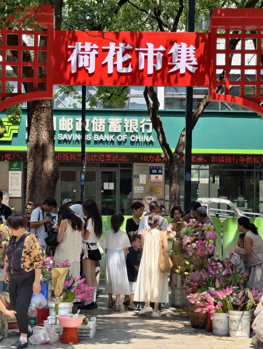 苏州人告诉我：浪漫也可以是市井味的‼️