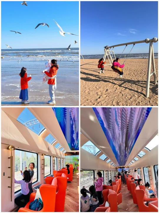 这么近那么美周末到河北🔥北京3h挖沙喂海鸥