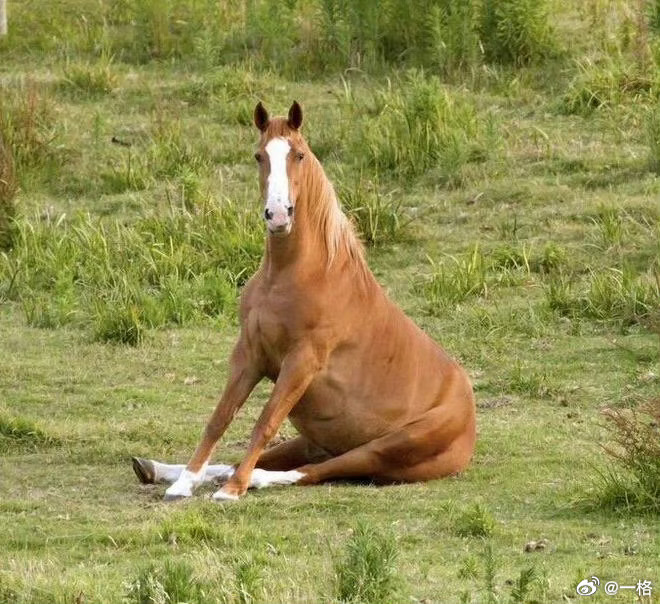 真是一场酣畅淋漓的高质量睡眠啊。 