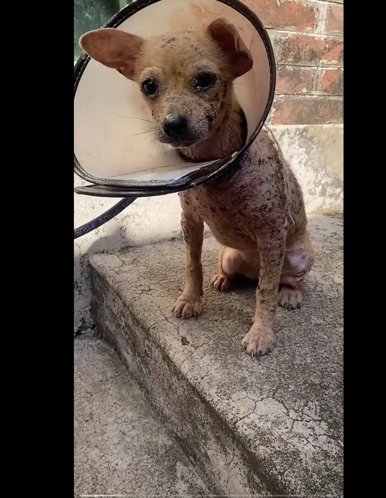 那菲普药浴是治疗皮肤问题的好帮手，它可以抑菌消炎止痒，而且不伤皮肤不刺...