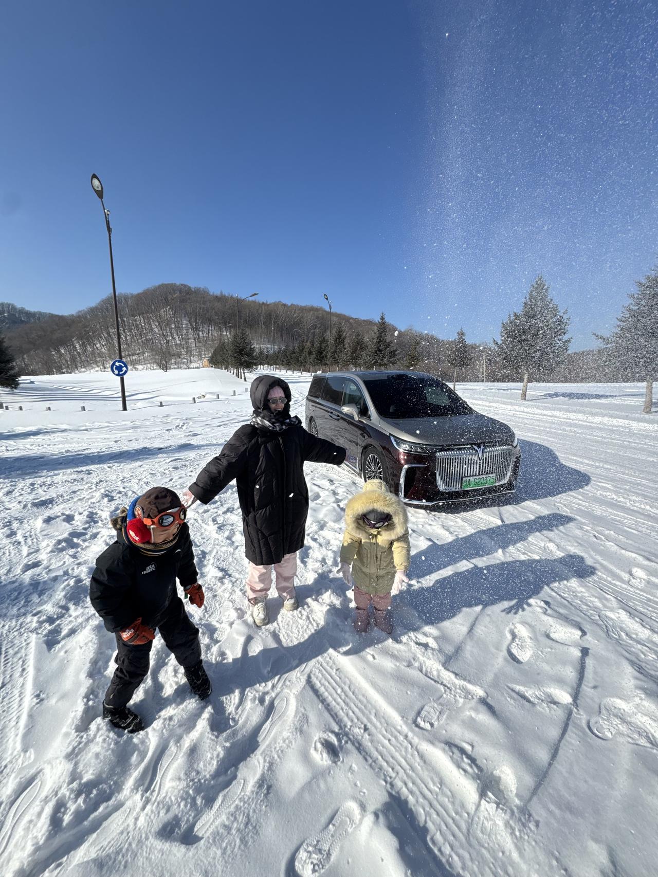 过去一年，高端新能源MPV市场整体需求有所增加，头部车型的市场表现依旧稳健。
