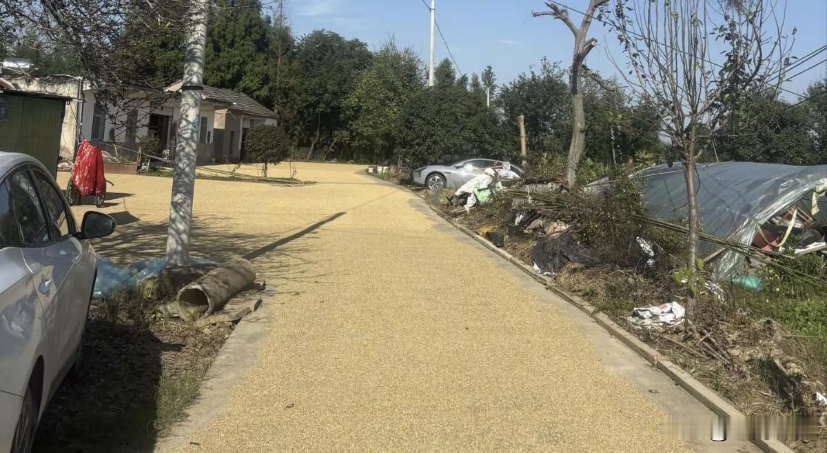 去河南泌阳盘古山的路上压坏了一农户晒粮食的塑料铲子，赔了钱才离开。 
   河南