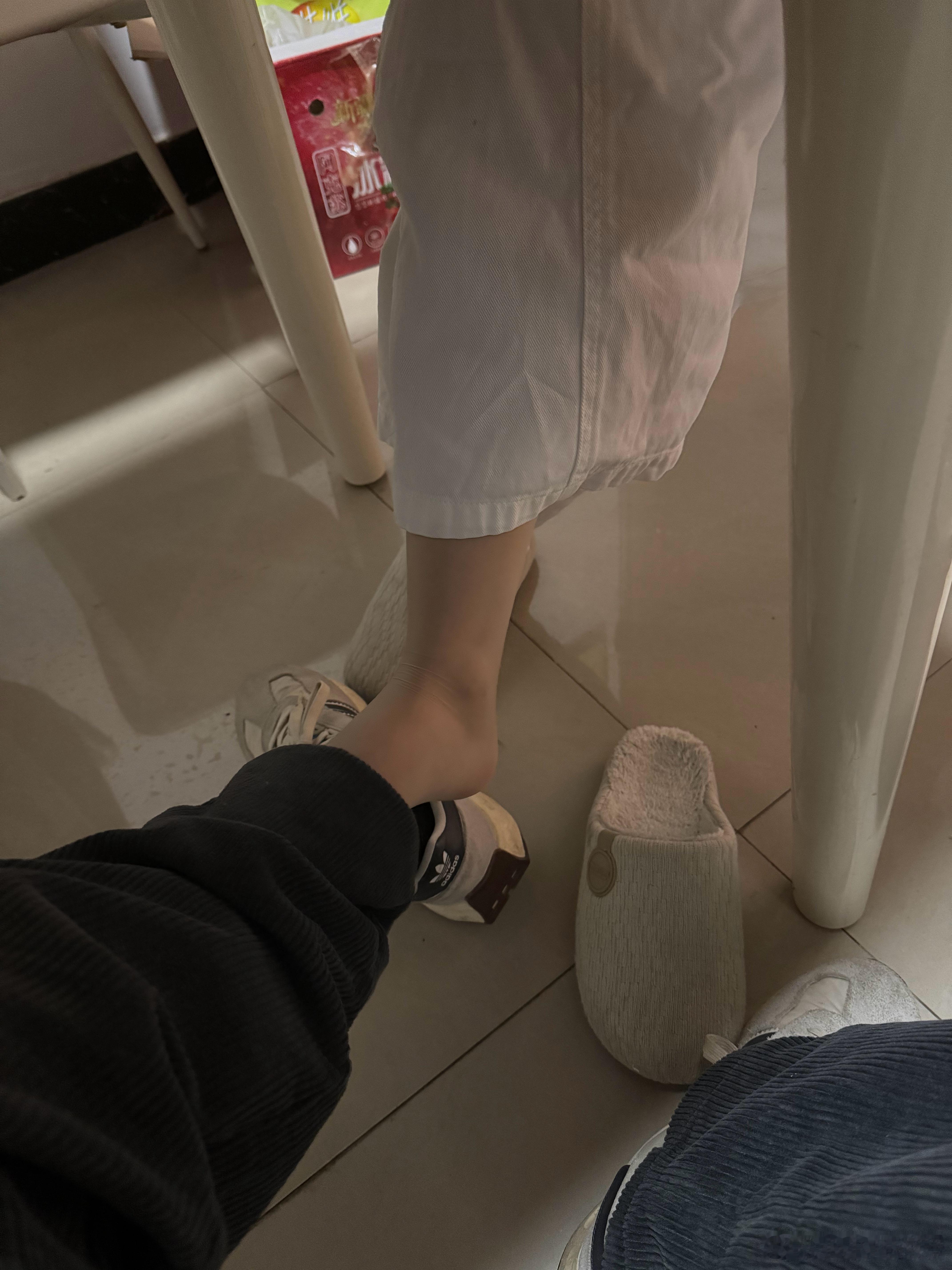 餐桌下的美味 ​​​