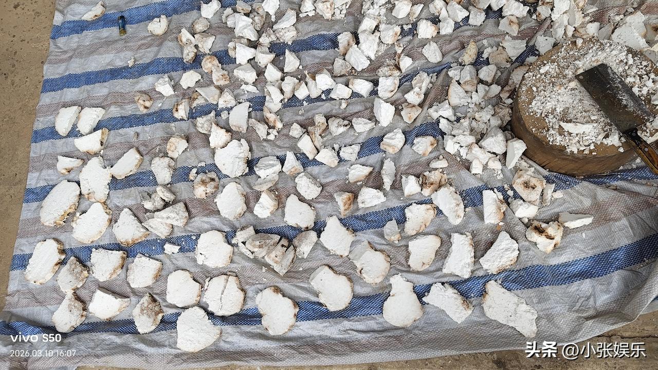 人这一生，最难得的，是活成一味茯苓。
不寒不热，不烈不燥，
不与谁争锋芒，不向谁