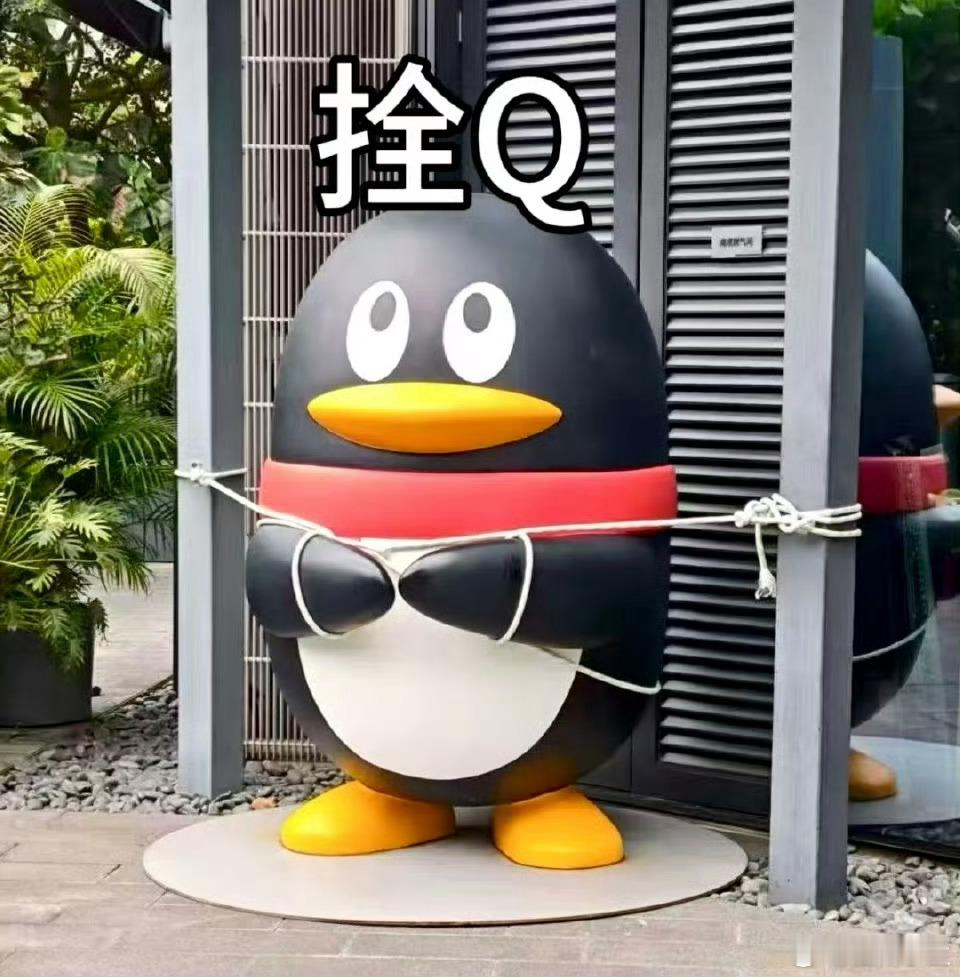 台风前夕腾讯把企鹅拴住了，企鹅：大家觉得我会被吹跑吗 ​​​