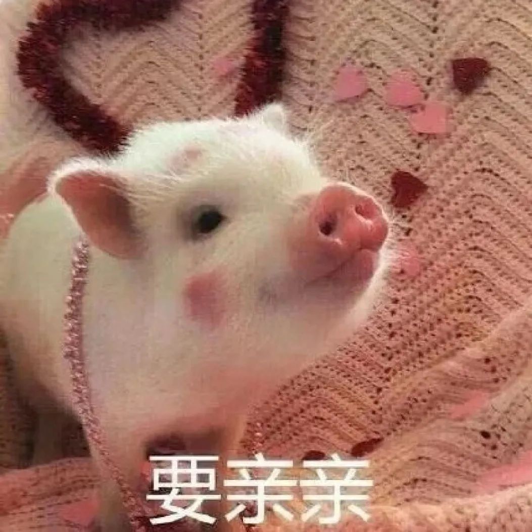 表情包来袭，让你聊天更有趣！ #表情包# ​​​