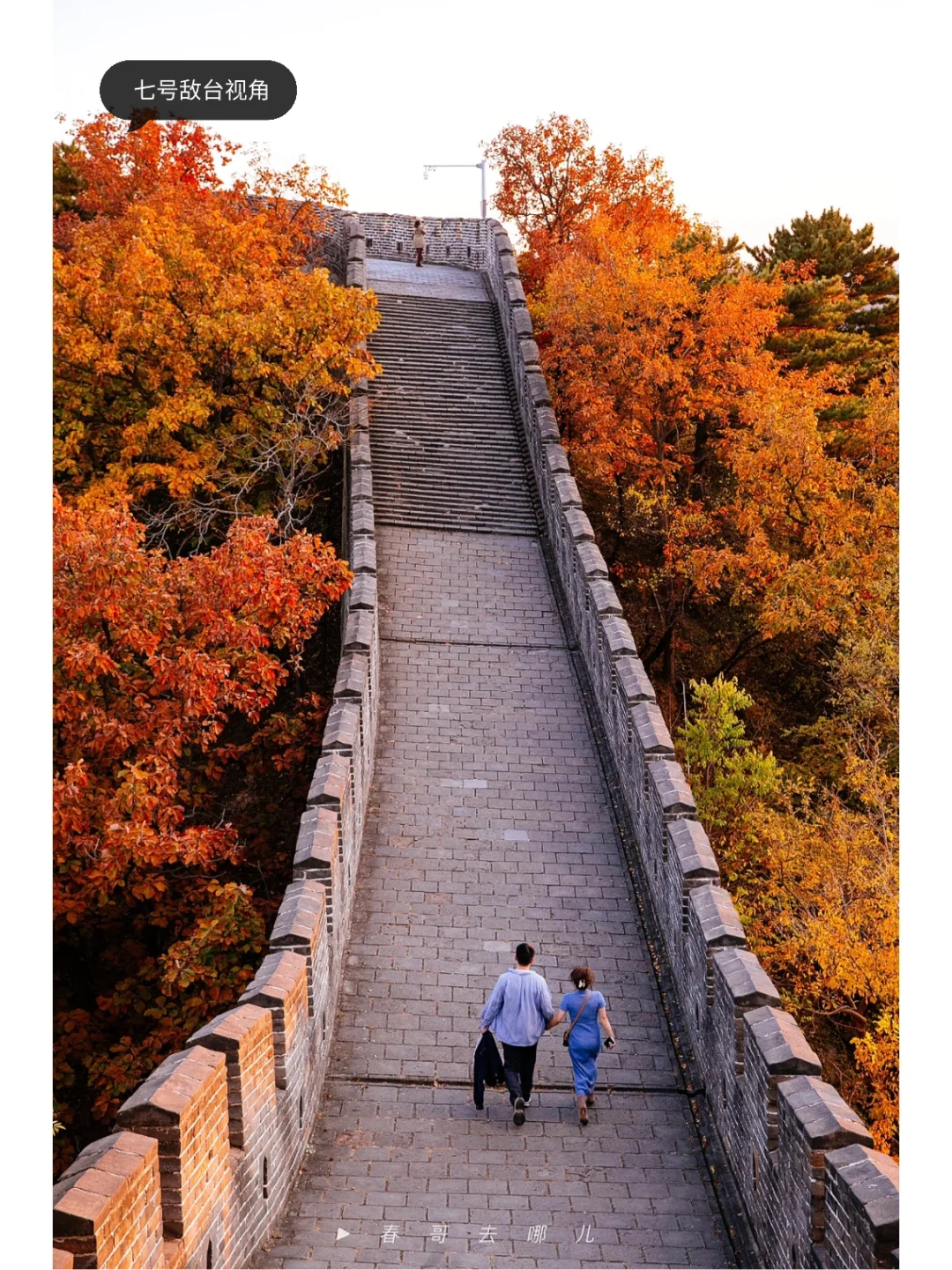 10.23实拍，慕田峪进入红叶最佳观赏期且人少