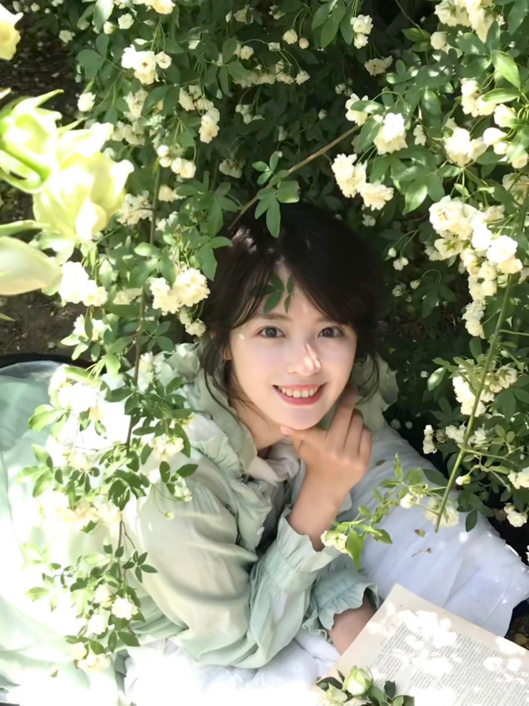 白木香下🍃 ​​​