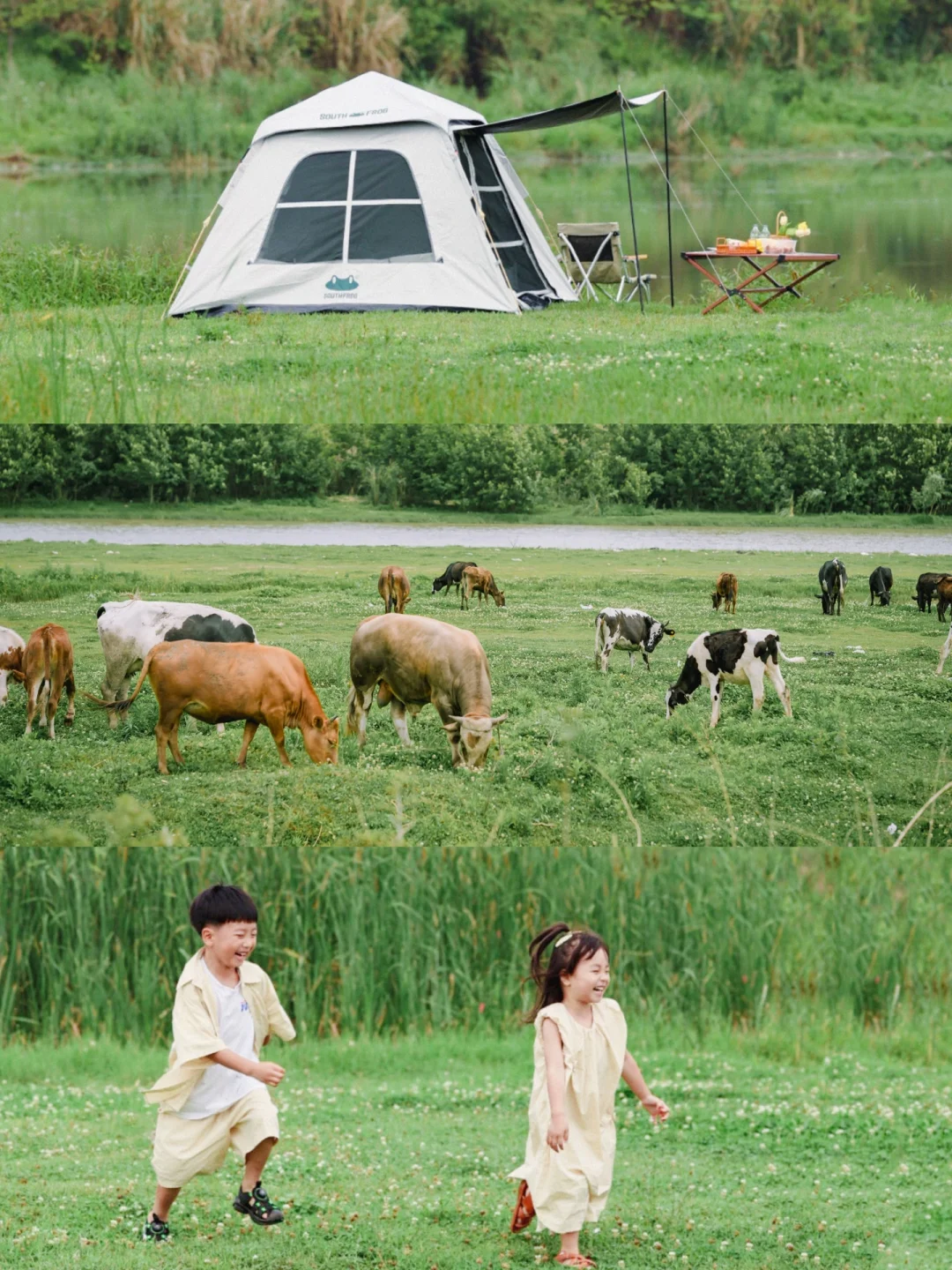 成都周边✅｜距市区🚗0.5h的河边野生露营地~