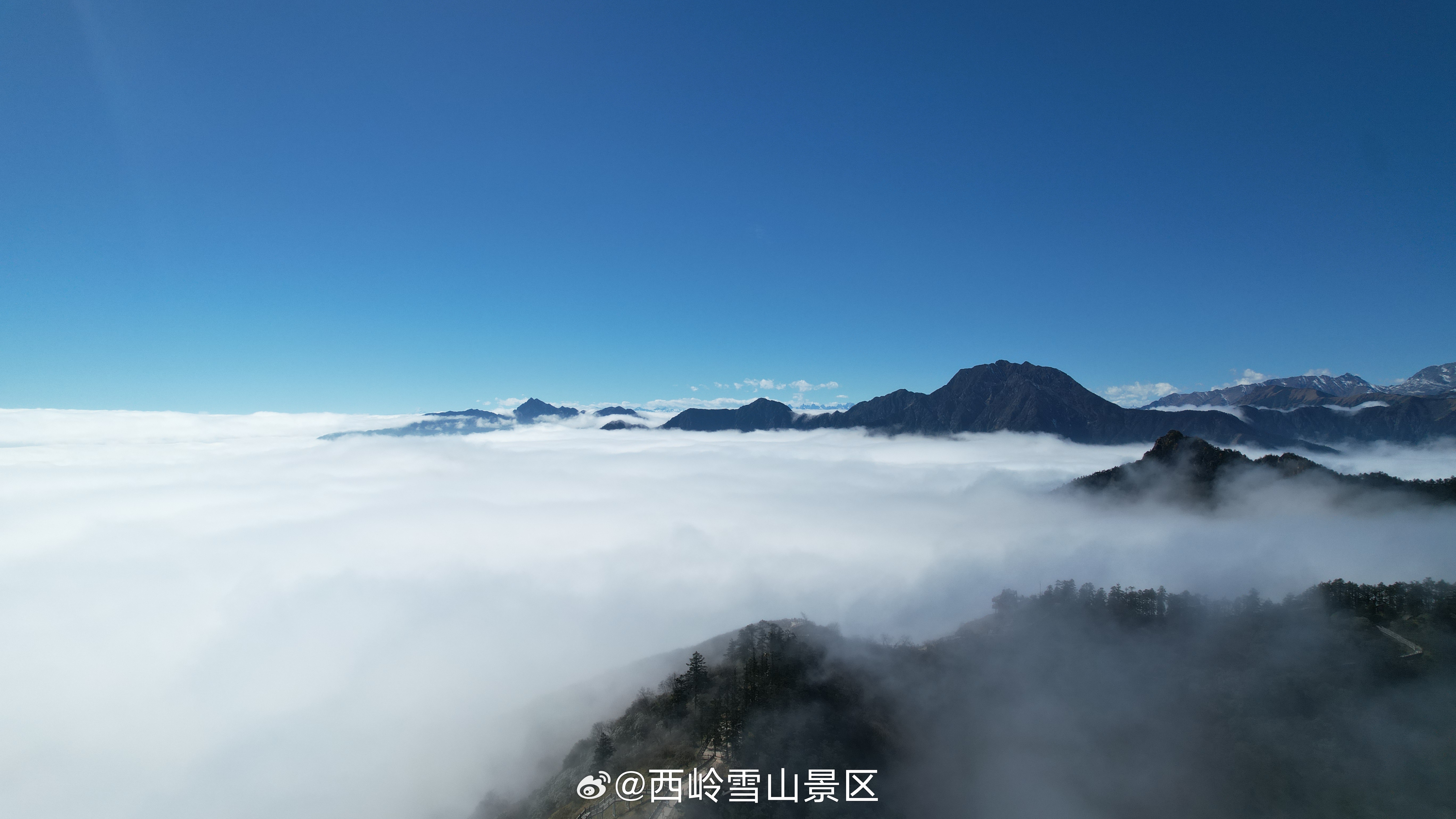 🌤️#西岭雪山限定浪漫#云海翻涌成诗，冰雪凝结为画✨站在观景栈道触摸天际，松针