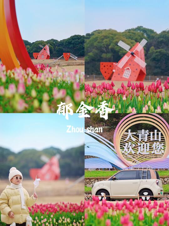舟山旅行 | 郁金香花海开放度70％🌷