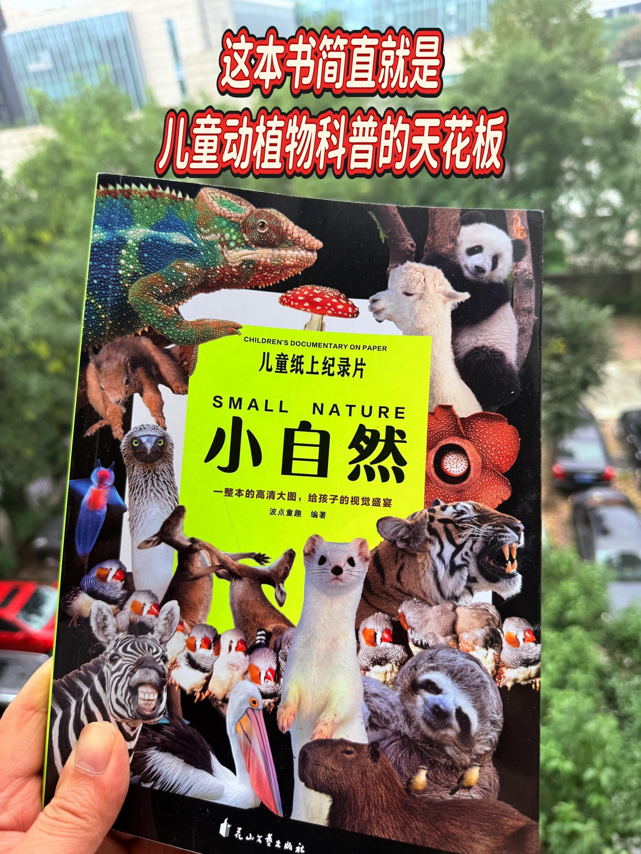 儿童纸上纪录片🔥。谢谢你，让我3岁儿子认识200多种动植物！高清自然...