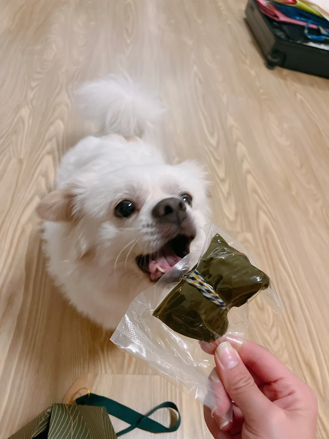 我可以不吃粽子，但是我儿子必须吃上！