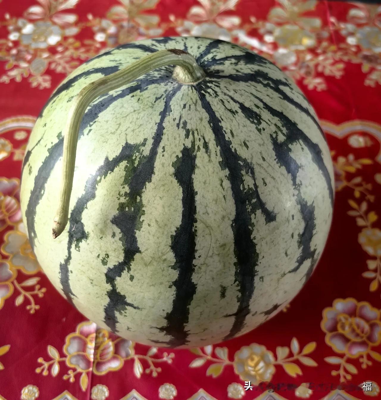 这个西瓜是附近村民拖到菜市场后买的，一块钱一斤，比水果店的西瓜便宜，口感也好很多