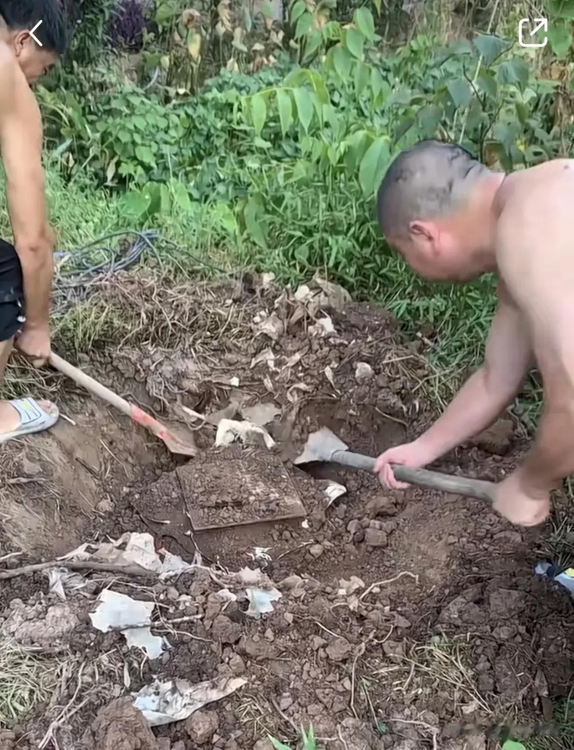 不可思议！24年前，我爸在我家后院埋了三坛散酒，说是要给我做女儿红，等我结婚了就