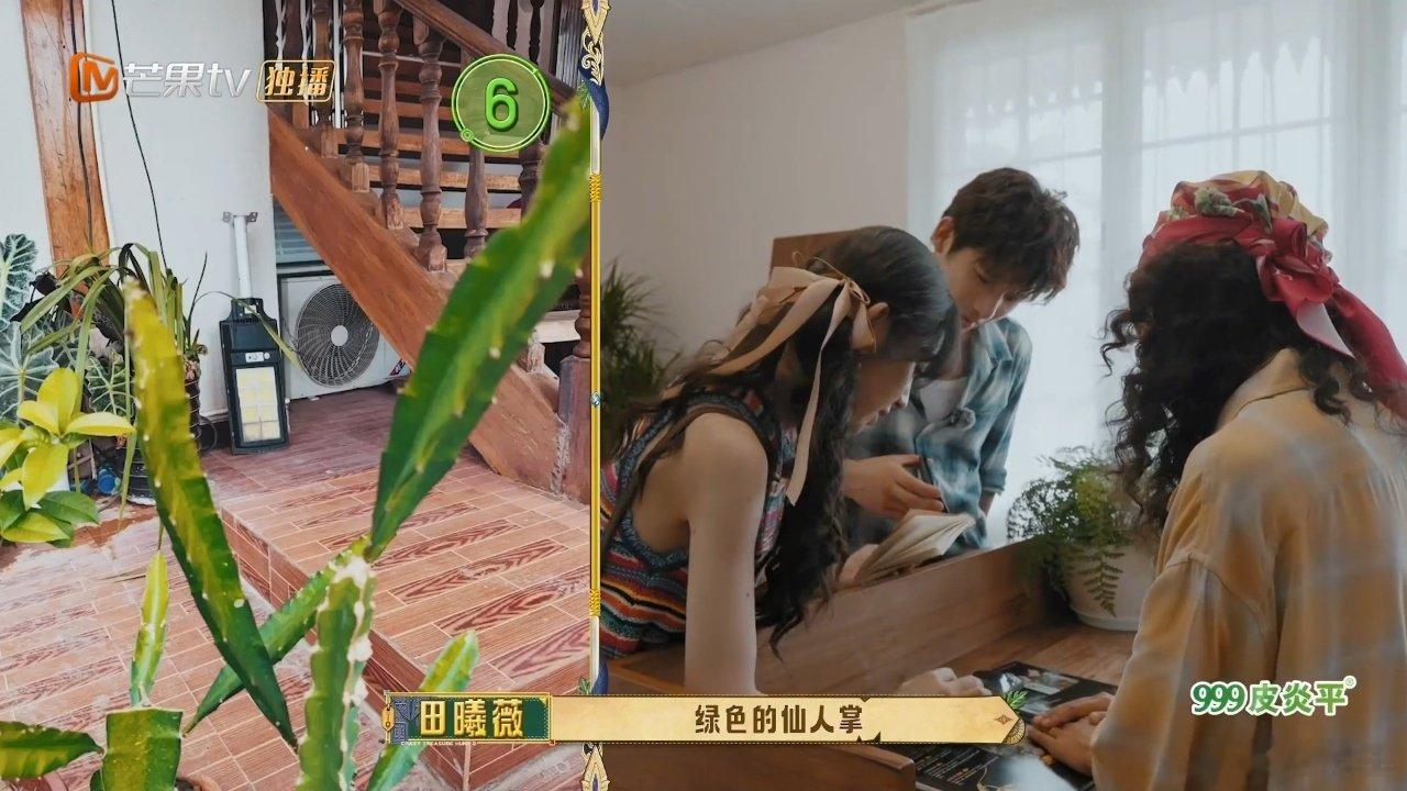 田曦薇拍照讲究的就是效率 田曦薇接到色彩拍照任务丝毫不拖沓，出门走一圈素材就集齐