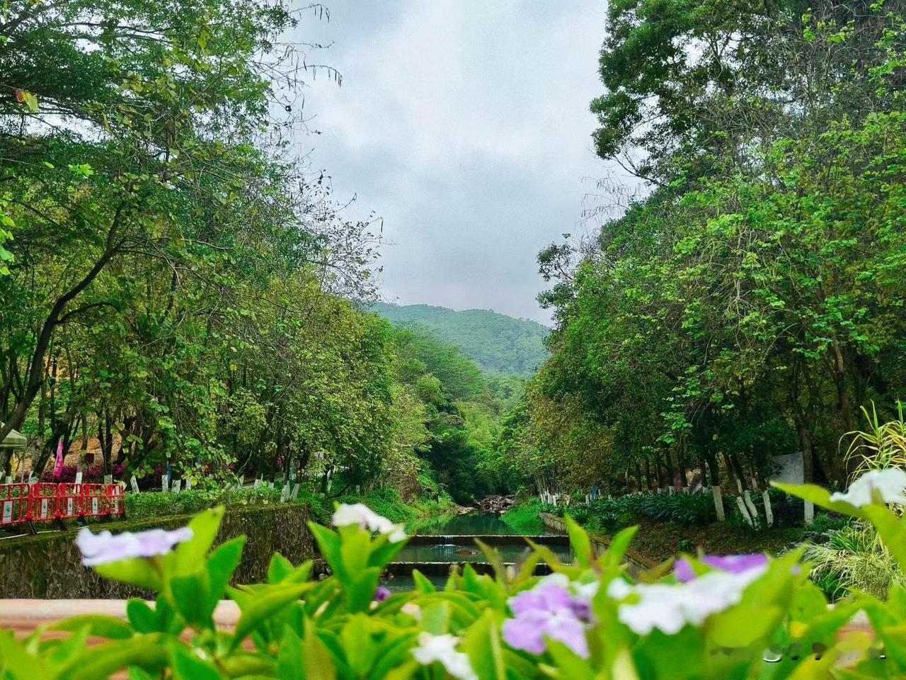 白江湖森林公园
大自然美景，随手一拍
增城区的白江湖森林公园，一个与城市喧嚣隔离