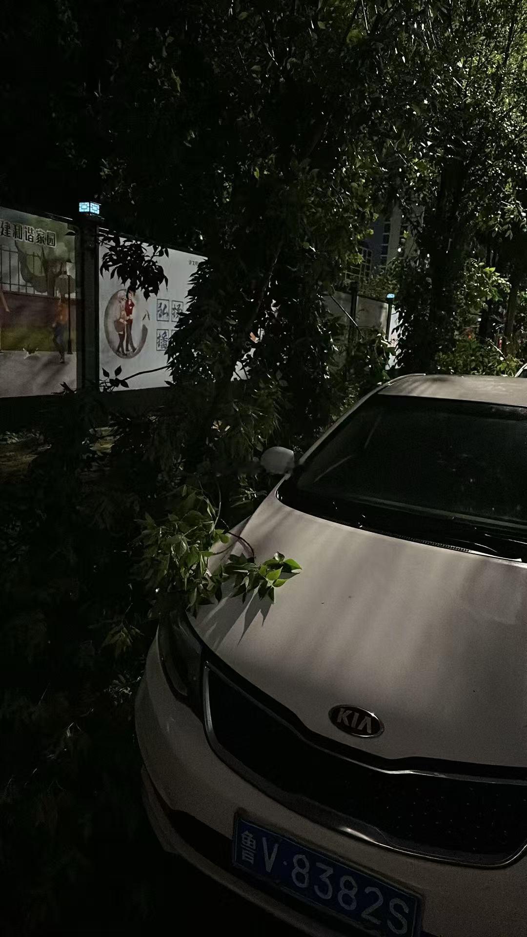 瀛海 