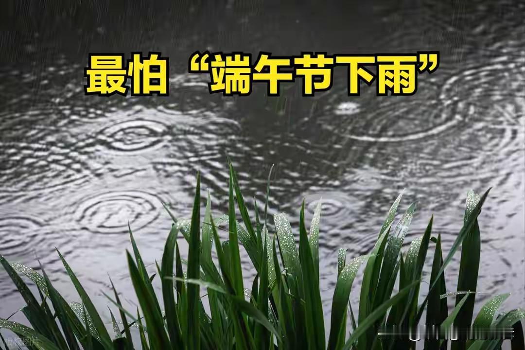 端午这雨从昨晚就开始下，到现在也没个停的意思。中央气象台报的数字挺吓人，长江中下