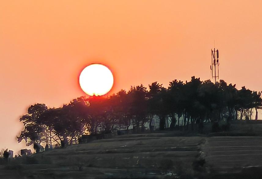 2025年12月6日烟台一出时间是7:14，此时正爬上东山坡，跳到树梢上，正在冉