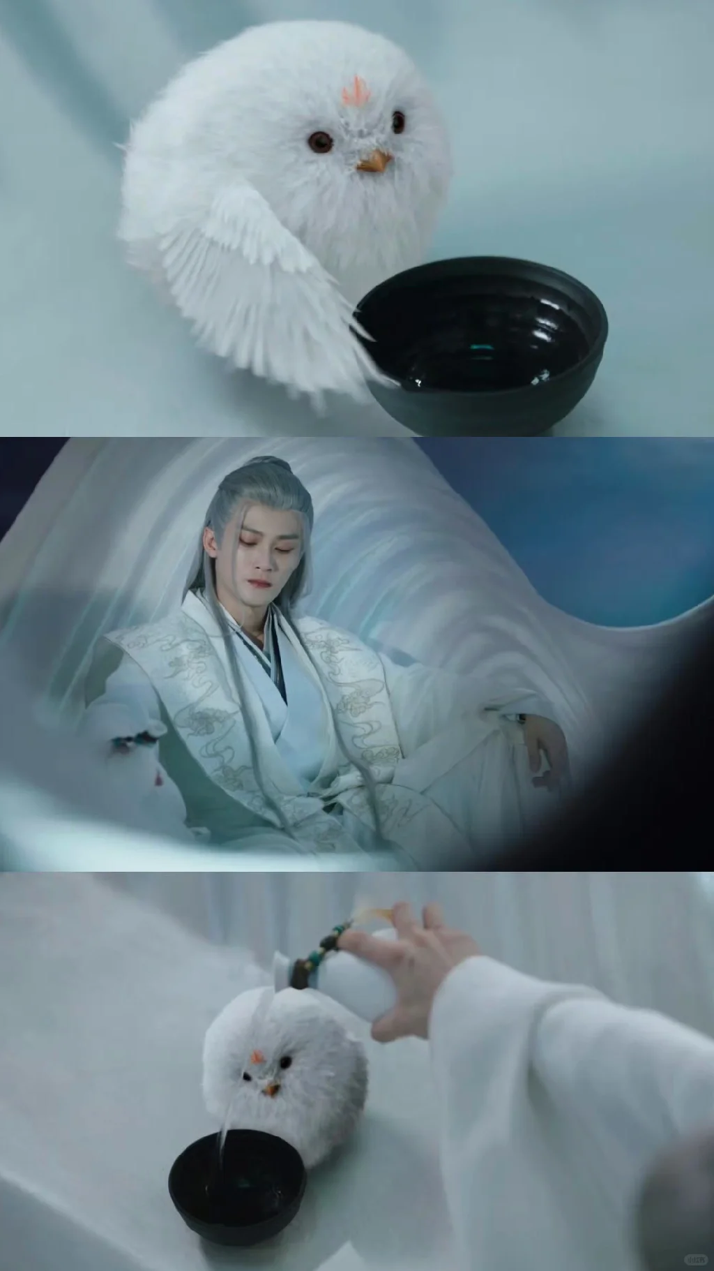 毛球最近酒量见长😂
