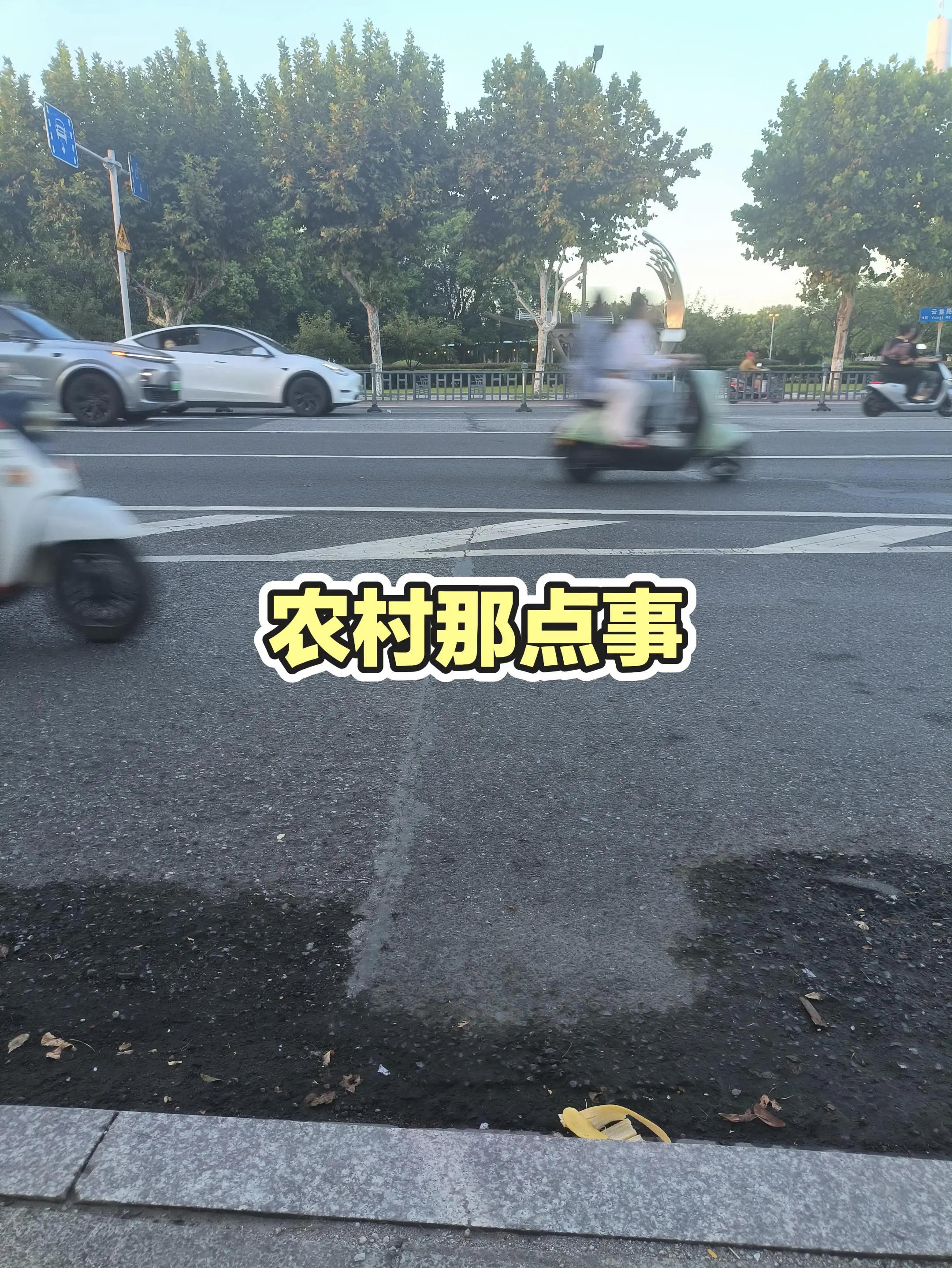 每日推文