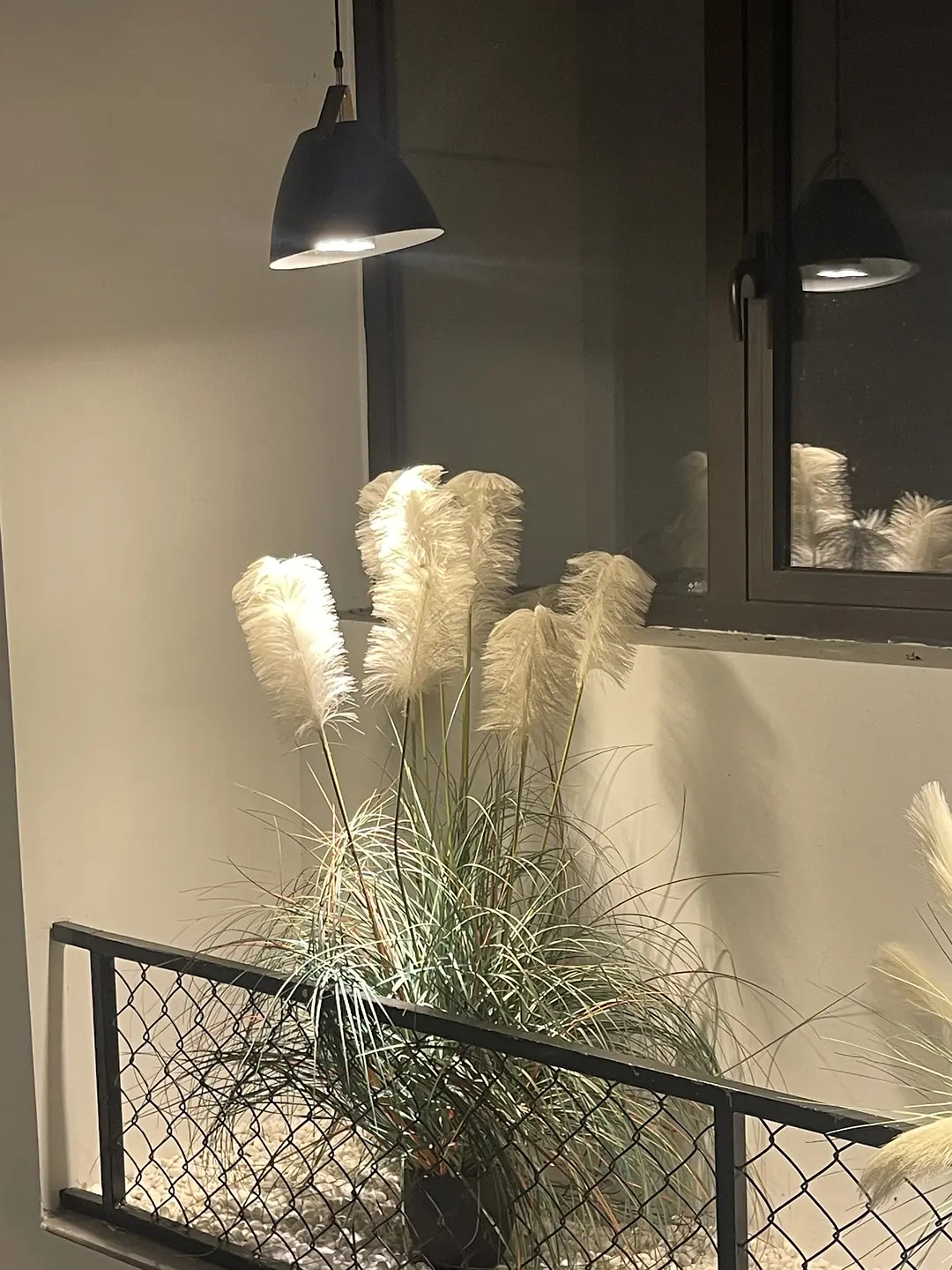 当某些镜头出现时观看者恰是我和我妈…老妈最进迷上了小短剧。晚上我去客厅倒水，转头