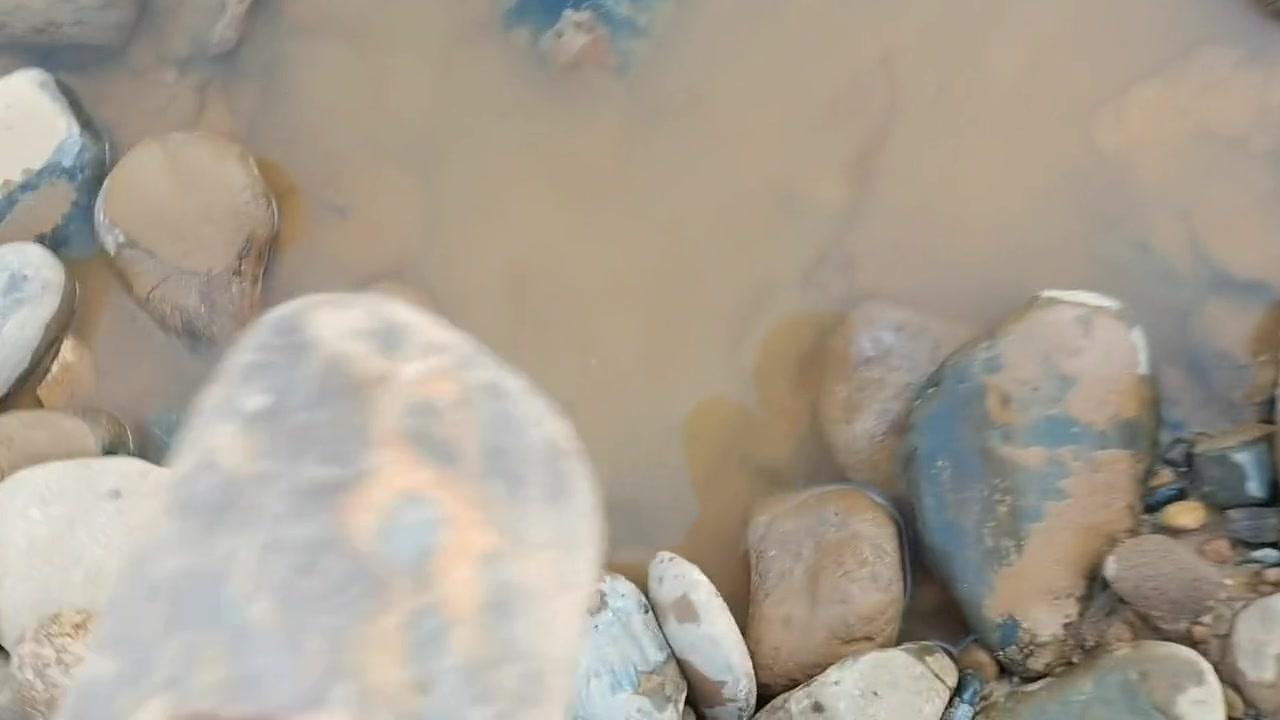 看这铁绣花水浪纹，洗不掉的纹路像凤凰还像乌龟，有意思～

1️⃣仔细看：这石头在