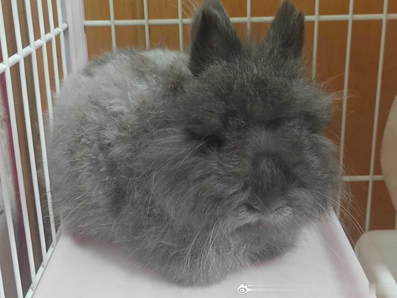 15295🐇【22】🗿 ​​​